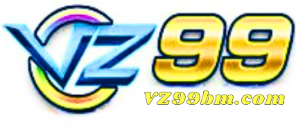 vz99bm.com